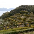 외도보타니아 이미지