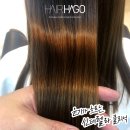 신데렐라미용실 이미지