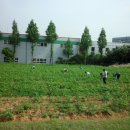 두레전자 이미지