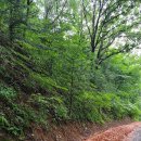 장동보건진료소 이미지