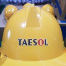 (주)태솔 - 559 | (주)태솔