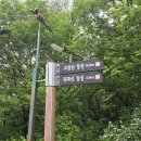 화실재-바래봉-진밭산-동구지산-덕대산-국사봉-중봉-모성산-구성면행정복지센터 이미지