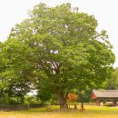 @ 대웅전 꽃창살로 유명한 고즈넉한 산사, 논산 쌍계사 (송불암 미륵불) 이미지