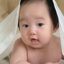 승수