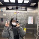 종로-종로-종로-종-146 | [응생일기] 인턴일기/구내식당/종로3가 하구/원조나주곰탕/크림토끼 소금빵/로바타소노 마곡나루직영점...
