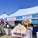 계룡농업기술센터본관 | 2026 청주 딸기 축제 제 1회 달콤상생 딸기 페스티벌 방문후기 🍓