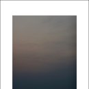 남쪽나라