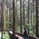 먹거리식당 이미지