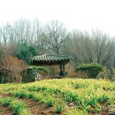 덕산돌산체육시설지 | 광명시 구름산·도덕산