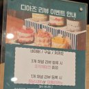 청려원 반려동물 센터 | 수원시청역 디저트 카페 추천 카페디아즈 루프탑 후기