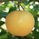 한아름슈퍼 이미지