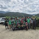 개나리길 이미지