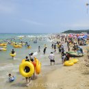 동해시-6 이미지