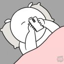 더베스트짐복싱 | 2024.07 [Photo Dump_2]