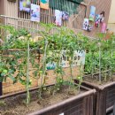 동인느티나무도서관 이미지