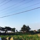 삼춘네민박 이미지