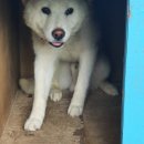 복순이네 이미지