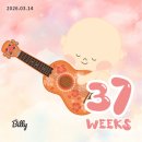 37주차 | 출산 전 마지막 진료, 태동검사, 임산부 왁싱