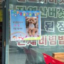 산호애견 이미지