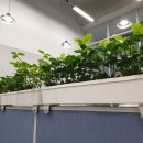 오피스플랜 이미지