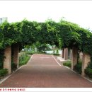 물무산행복숲둘레길 이미지