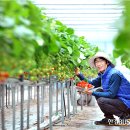 지운농장 이미지