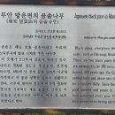 곰솔농장