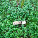 갯벌소리 이미지