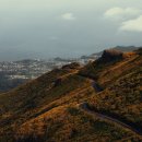 한림동물병원 이미지