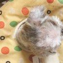 무리바 케어 이미지