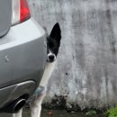 예지분식 - 중구 명동9길 17-3 | 사천시장 해산물향이 가득한 물국수 맛집 예지분식