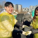 메디코스코리아 이미지