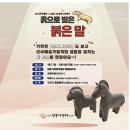 진주청동기문화박물관 | 진주 청동기 문화박물관