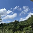 허굴산장