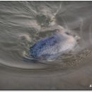 등대바다 이미지