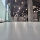 푸젤 강아지유치원 이미지