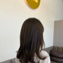 씨엘로헤어신대지구점 | 순천신대지구미용실 에이바헤어 순천C컬펌 순천레이어드컷