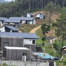 트리캠핑장 이미지