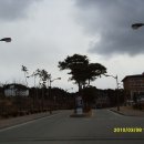 강릉원주대학교(원주캠퍼스) Daum카페