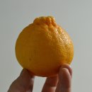 박광은한의원 이미지