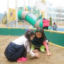 연세유치원 이미지