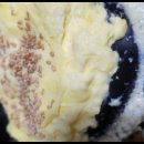 우당부천중동점 이미지