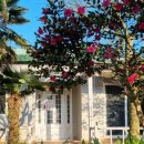 대흘샬레 이미지