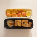 2025년 4월 도서관 주간 | [주간일기] 꽃을 잔뜩 보러 다닌 4월 첫째 주 일상