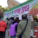 서울농산물