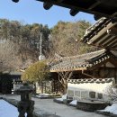 씨유춘천온의타운점 | 춘천 가볼만한 곳 나무향기한증막 후기 (예약, 주차, 당일방문)