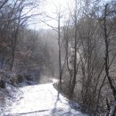 아침향기펜션 이미지