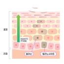 지우다피부과