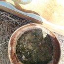 바른정비서비스(1급) 이미지