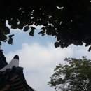 C0221 Daum카페